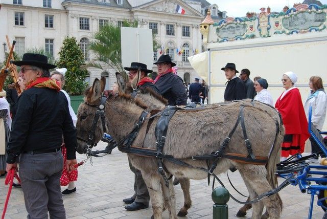 Orelans 8 mai 2014 (40).jpg